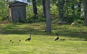 Lake Shore Farm Inn